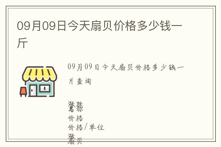 09月09日今天扇貝價格多少錢一斤