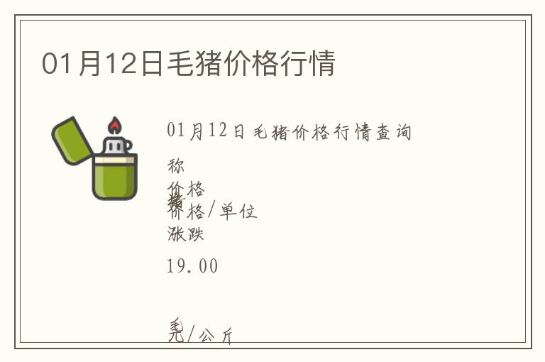 01月12日毛豬價格行情