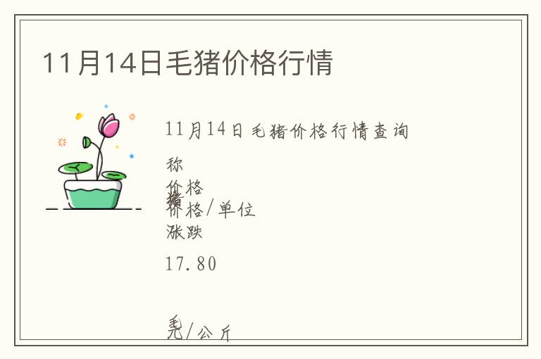 11月14日毛豬價格行情