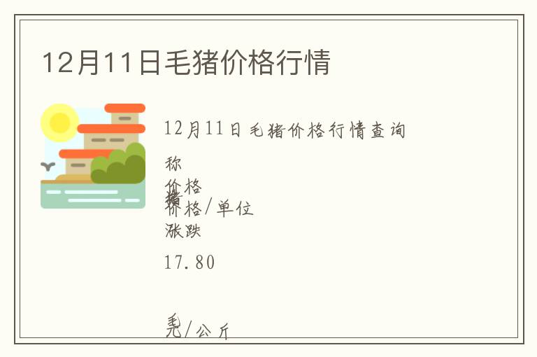 12月11日毛豬價格行情