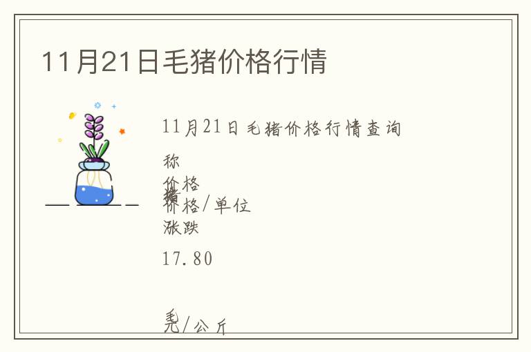 11月21日毛豬價(jià)格行情