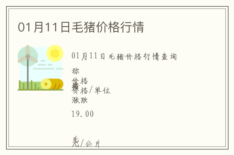 01月11日毛豬價格行情