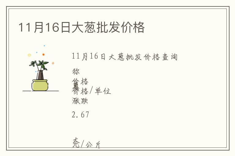 11月16日大蔥批發價格