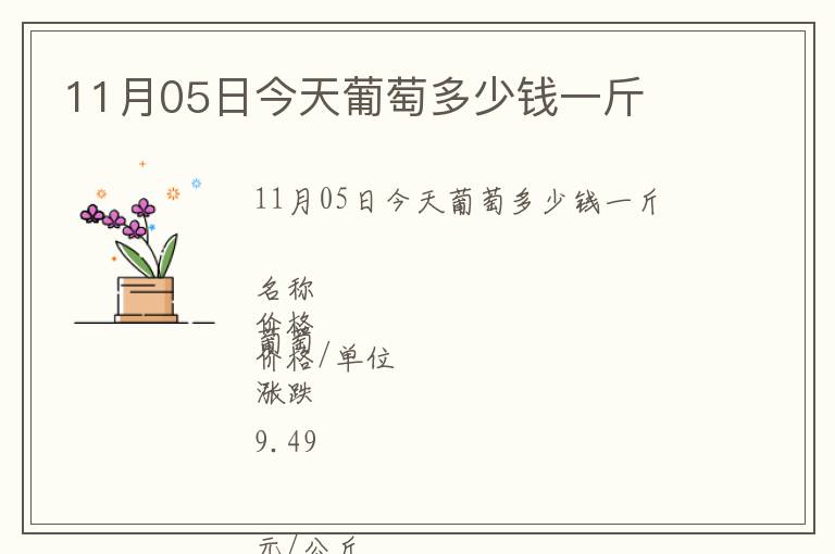 11月05日今天葡萄多少錢一斤