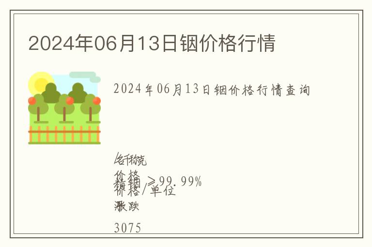 2024年06月13日銦價格行情