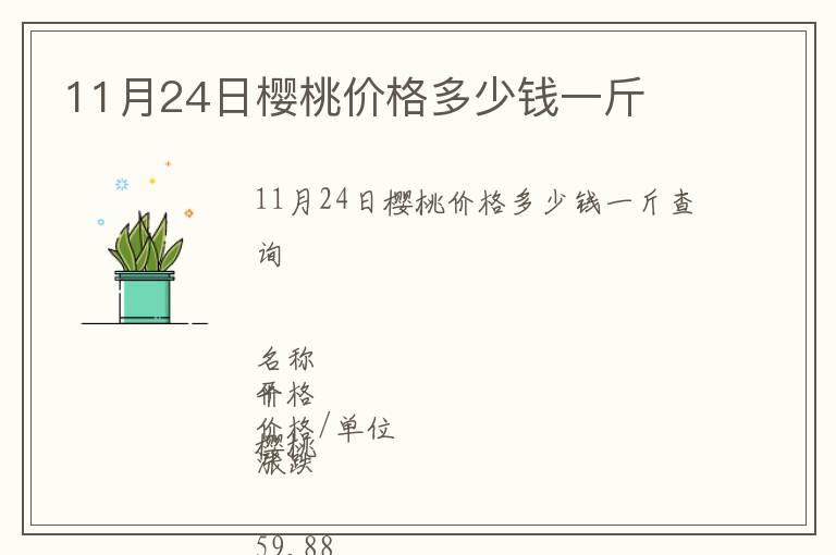 11月24日櫻桃價格多少錢一斤