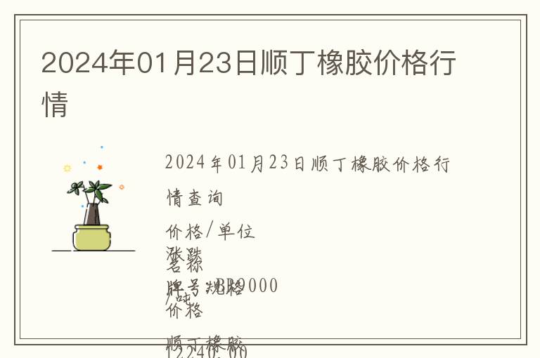 2024年01月23日順丁橡膠價(jià)格行情