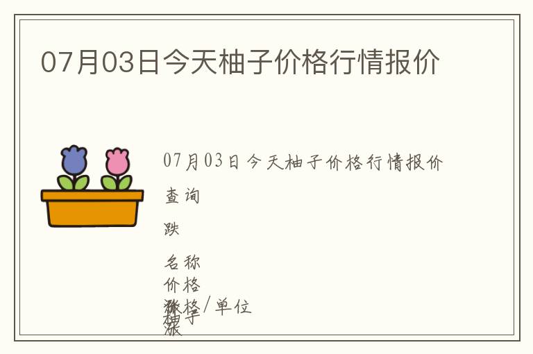 07月03日今天柚子價格行情報價