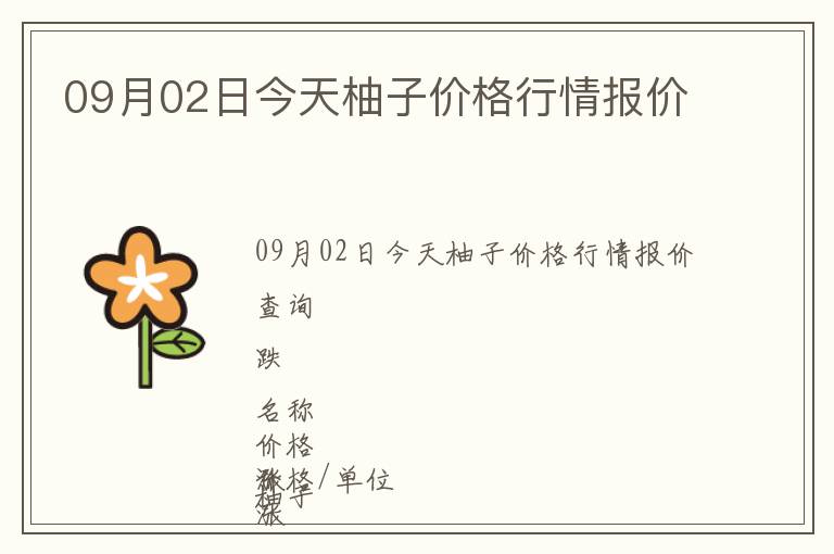 09月02日今天柚子價格行情報價