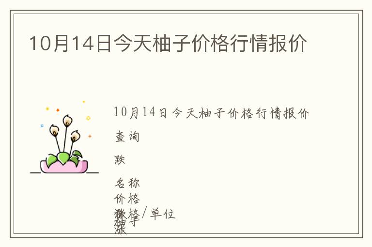 10月14日今天柚子價格行情報價