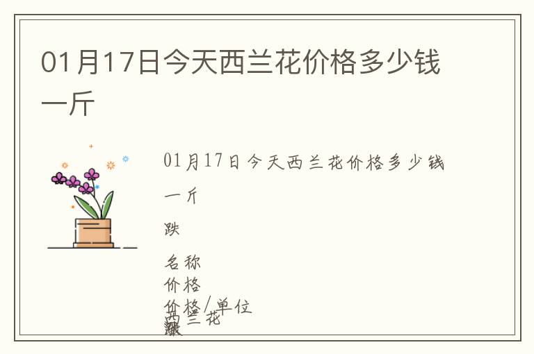 01月17日今天西蘭花價格多少錢一斤