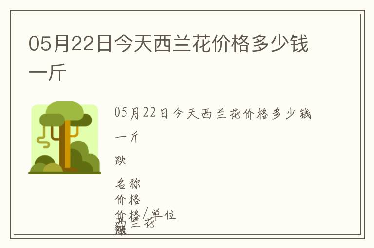 05月22日今天西蘭花價格多少錢一斤