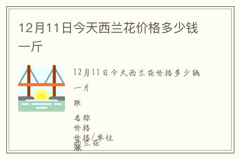 12月11日今天西蘭花價格多少錢一斤