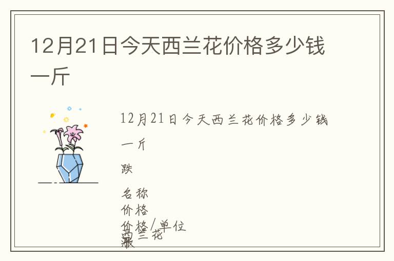 12月21日今天西蘭花價格多少錢一斤
