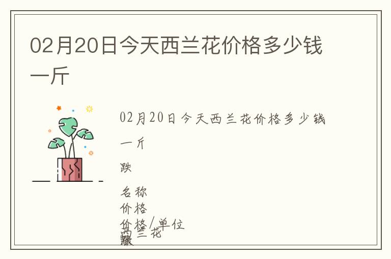02月20日今天西蘭花價格多少錢一斤