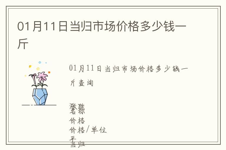 01月11日當(dāng)歸市場價(jià)格多少錢一斤