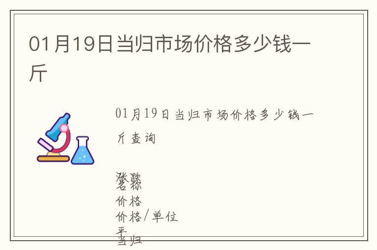 01月19日當歸市場價格多少錢一斤