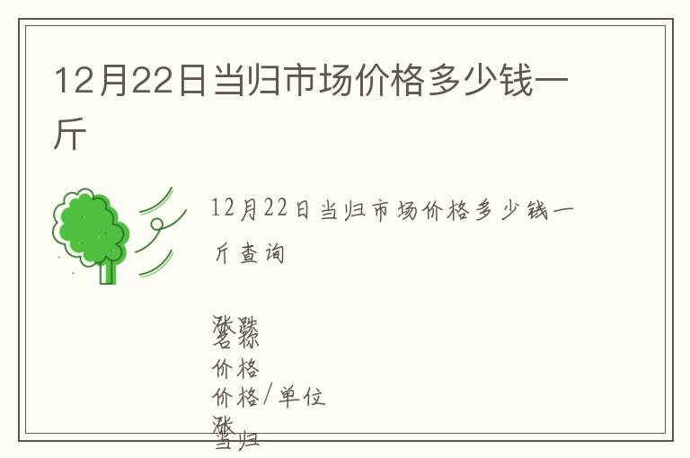 12月22日當歸市場價格多少錢一斤