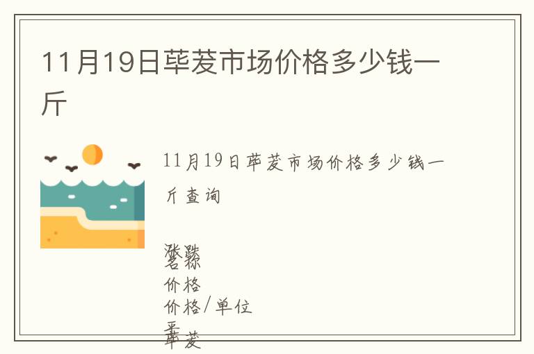 11月19日蓽茇市場(chǎng)價(jià)格多少錢一斤