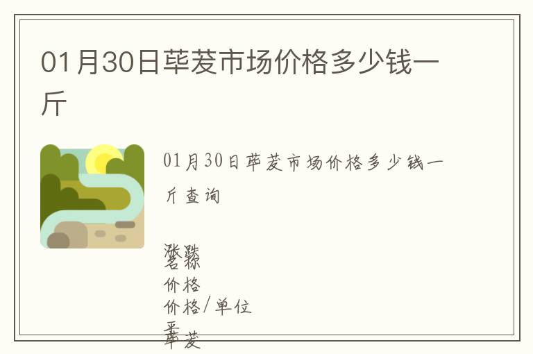 01月30日蓽茇市場價格多少錢一斤