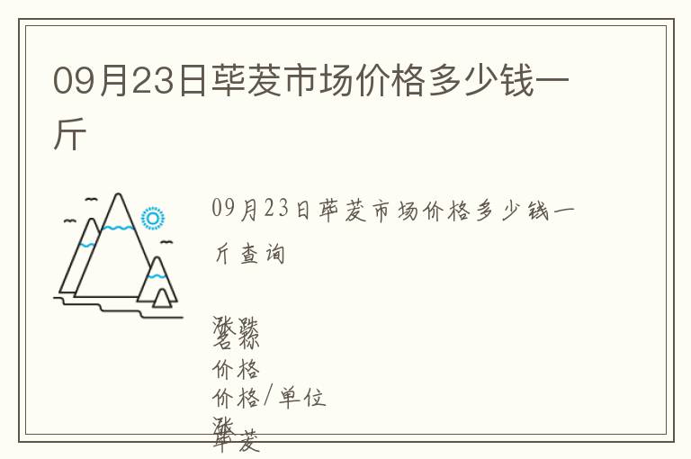 09月23日蓽茇市場價(jià)格多少錢一斤