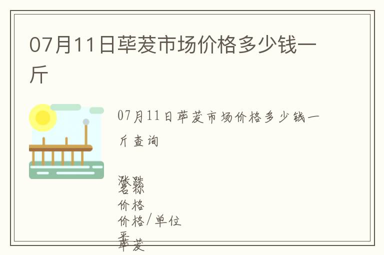 07月11日蓽茇市場價格多少錢一斤