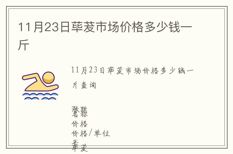 11月23日蓽茇市場價格多少錢一斤