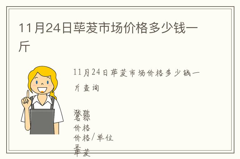 11月24日蓽茇市場價格多少錢一斤