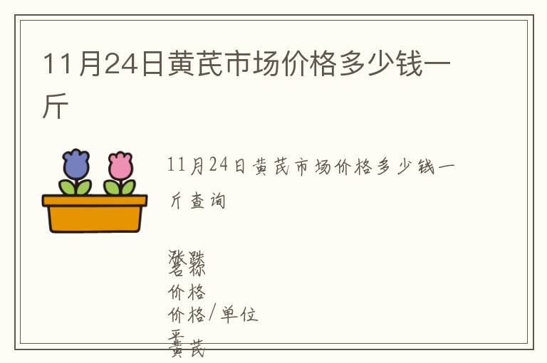 11月24日黃芪市場價格多少錢一斤