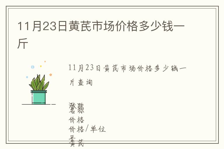 11月23日黃芪市場價格多少錢一斤
