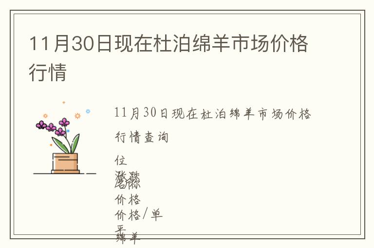 11月30日現在杜泊綿羊市場價格行情