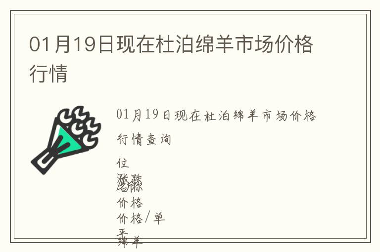 01月19日現在杜泊綿羊市場價格行情