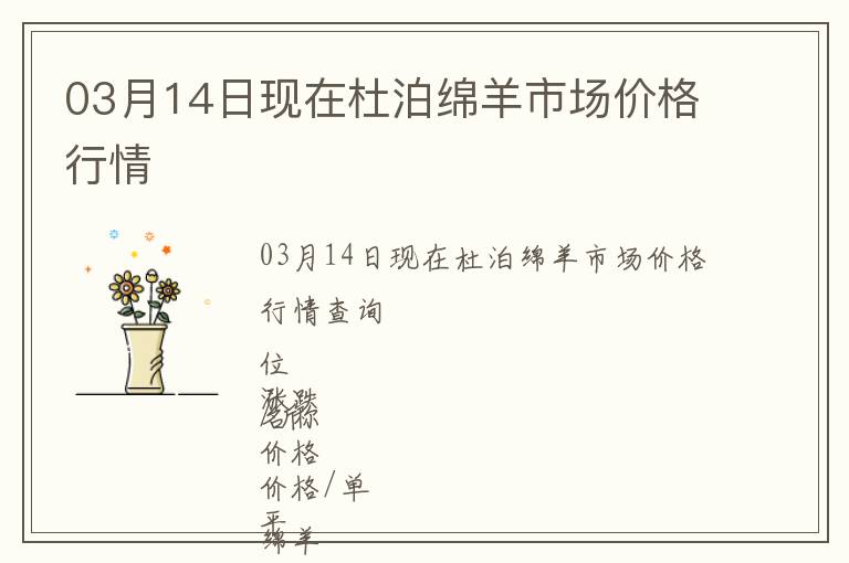 03月14日現(xiàn)在杜泊綿羊市場價(jià)格行情