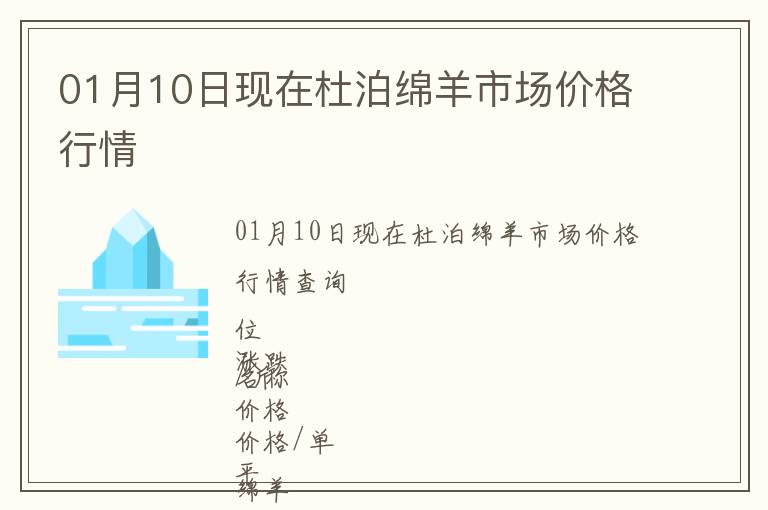 01月10日現在杜泊綿羊市場價格行情