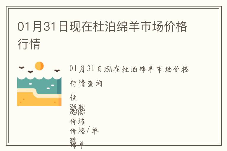 01月31日現在杜泊綿羊市場價格行情