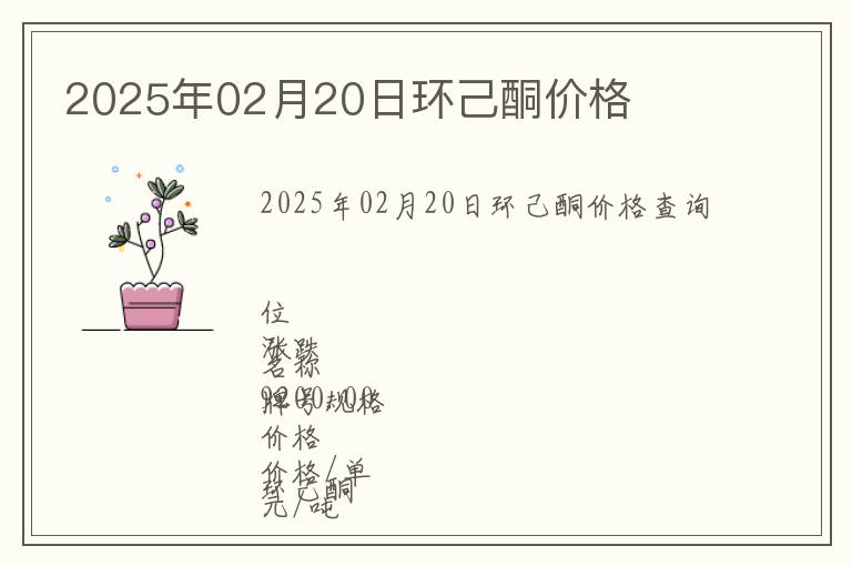 2025年02月20日環己酮價格