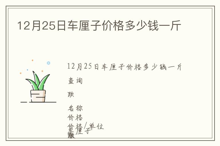 12月25日車?yán)遄觾r格多少錢一斤