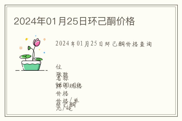 2024年01月25日環己酮價格