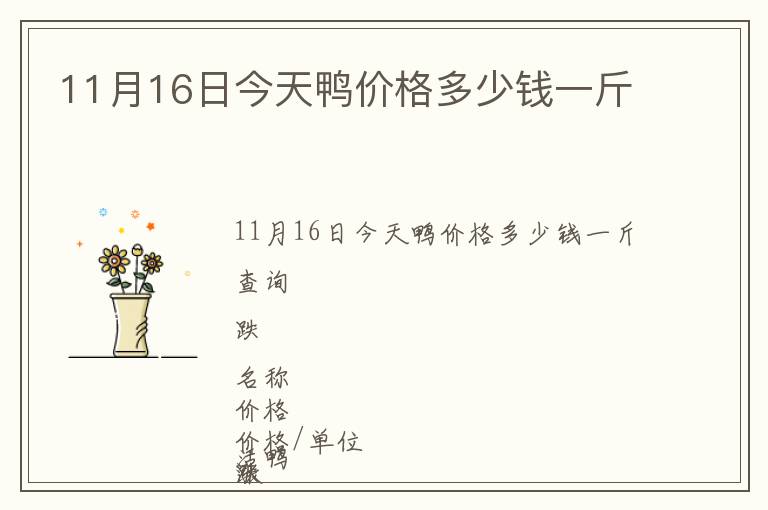 11月16日今天鴨價格多少錢一斤