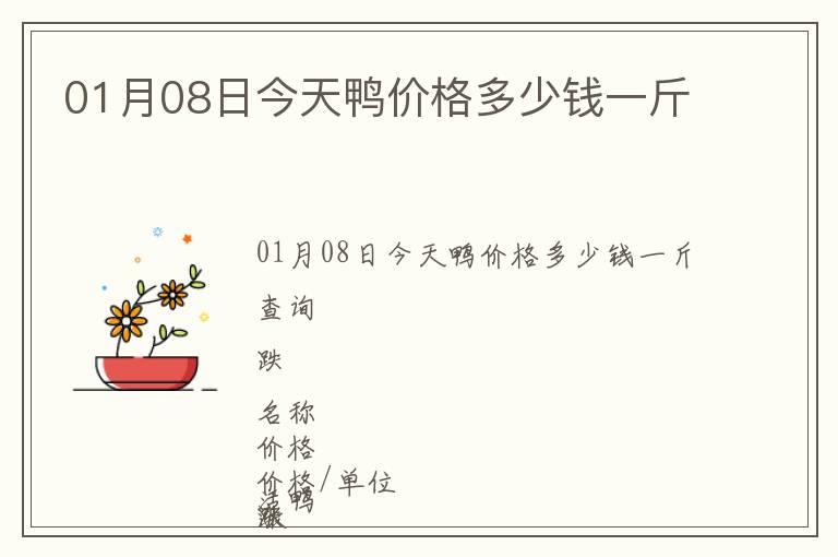 01月08日今天鴨價格多少錢一斤