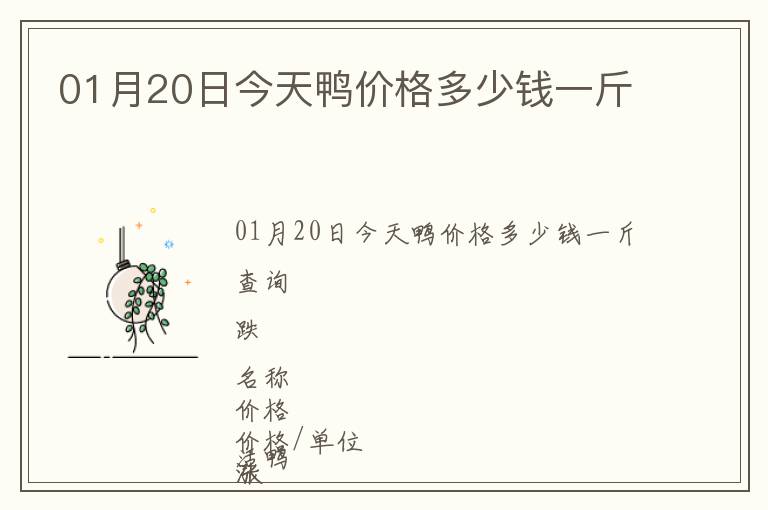 01月20日今天鴨價格多少錢一斤