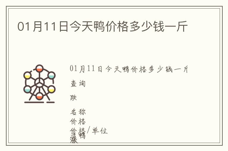 01月11日今天鴨價(jià)格多少錢一斤