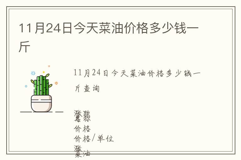 11月24日今天菜油價格多少錢一斤