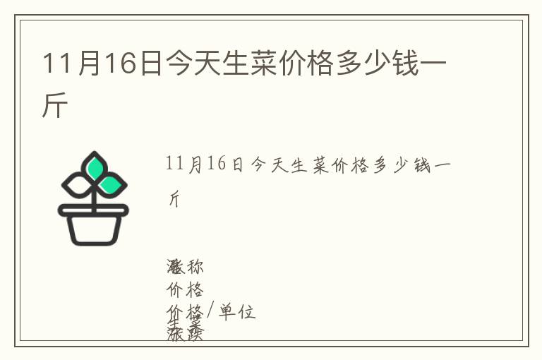 11月16日今天生菜價格多少錢一斤