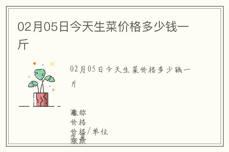 02月05日今天生菜價格多少錢一斤