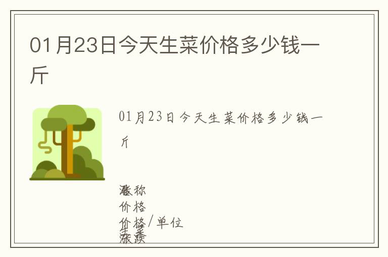 01月23日今天生菜價(jià)格多少錢一斤
