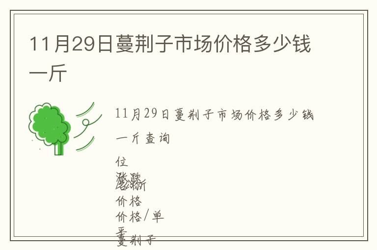 11月29日蔓荊子市場價格多少錢一斤