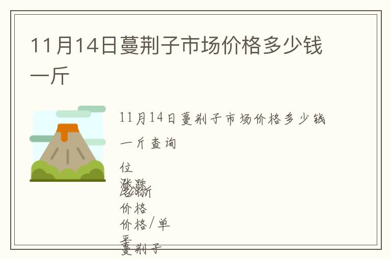 11月14日蔓荊子市場價格多少錢一斤