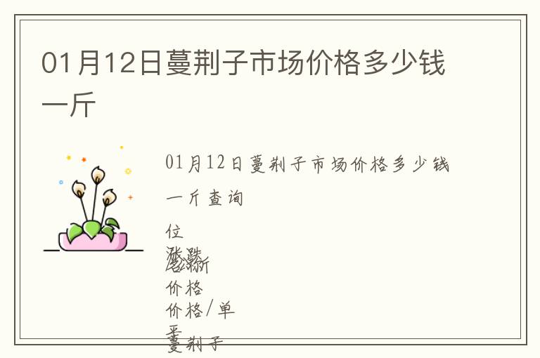 01月12日蔓荊子市場(chǎng)價(jià)格多少錢(qián)一斤