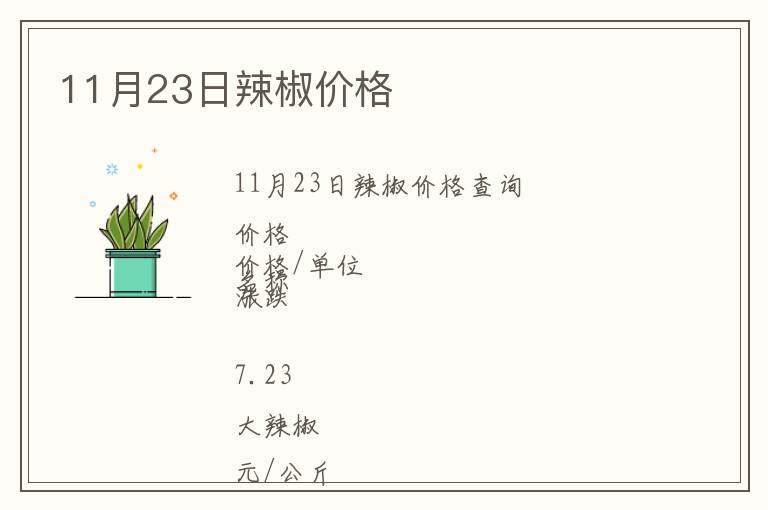 11月23日辣椒價格